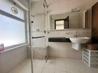 الصورة 9 من 12