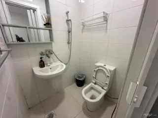 Photograph 9 of 12