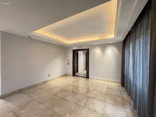 الصورة 8 من 12