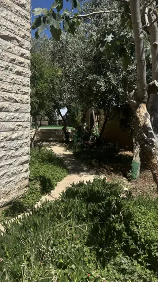 فيلا للبيع في شفا بدران – صورة 6
