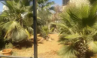 Villa for sale in Al Jubayha – photo 8