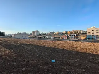 Land for sale in Shafa Badran – photo 7