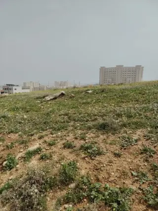 Land for sale in Shafa Badran – photo 7