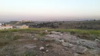 Land for sale in Shafa Badran – photo 5
