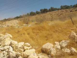 أرض للبيع في شفا بدران – صورة 4