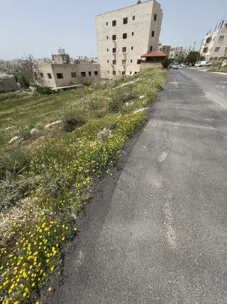 أرض للبيع في طبربور – صورة 8