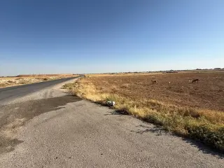 Land for sale in Al-Qastal – photo 10