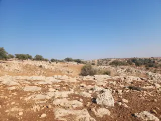Land for sale in Bilal – photo 2