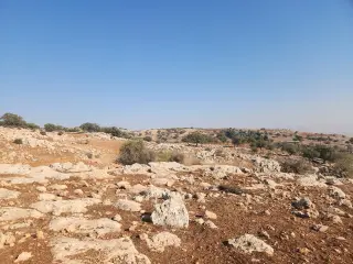 Land for sale in Bilal