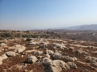 Land for sale in Bilal – photo 5
