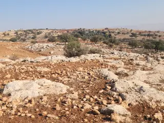 Land for sale in Bilal – photo 3