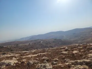 Land for sale in Bilal – photo 6