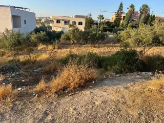 Land for sale in Bader Al Jadedeh – photo 3
