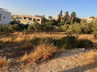 Land for sale in Bader Al Jadedeh – photo 5