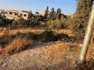 Land for sale in Bader Al Jadedeh – photo 4