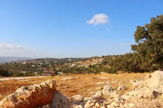 Land for sale in Bader Al Jadedeh – photo 12