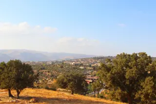 Land for sale in Bader Al Jadedeh – photo 14