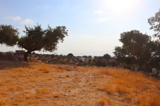 Land for sale in Bader Al Jadedeh – photo 10
