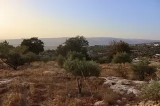 Land for sale in Bader Al Jadedeh – photo 7
