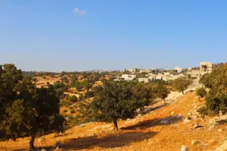 Land for sale in Bader Al Jadedeh – photo 5