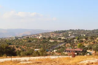 Land for sale in Bader Al Jadedeh – photo 6