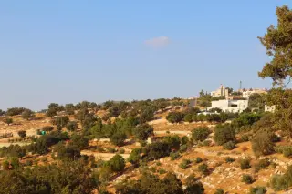 Land for sale in Bader Al Jadedeh – photo 15