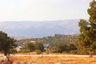 Land for sale in Bader Al Jadedeh – photo 13