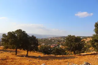 Land for sale in Bader Al Jadedeh