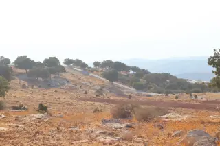 Land for sale in Bader Al Jadedeh – photo 11