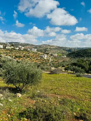 أرض للبيع في بدر  الجديدة – صورة 2