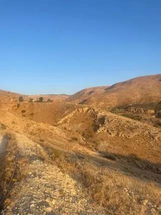 Land for sale in Bader Al Jadedeh – photo 7