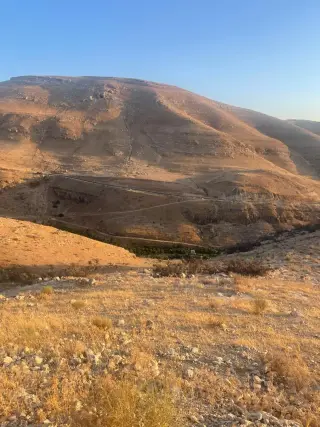 Land for sale in Bader Al Jadedeh – photo 11