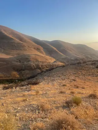 Land for sale in Bader Al Jadedeh – photo 10