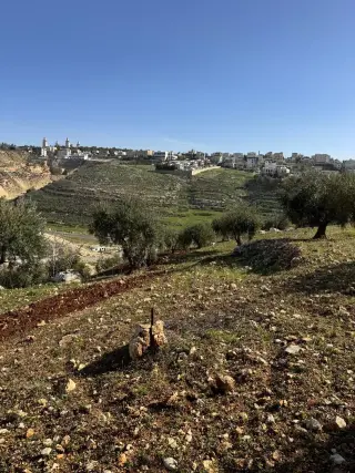Land for sale in Dabouq – photo 16