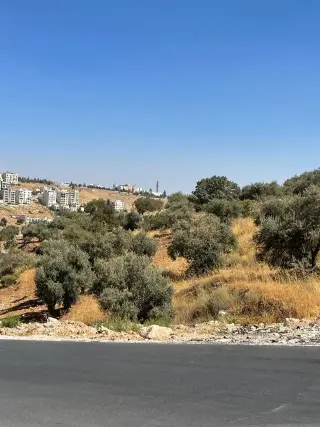 Land for sale in Dabouq – photo 3
