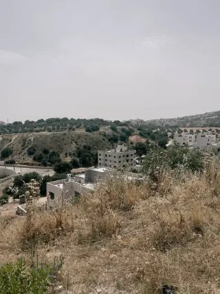 Land for sale in Dabouq – photo 11