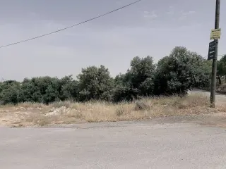 Land for sale in Dabouq – photo 5