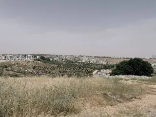 Land for sale in Dabouq – photo 2