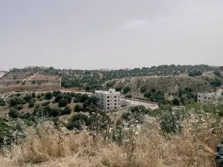 Land for sale in Dabouq – photo 13