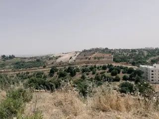 Land for sale in Dabouq – photo 12