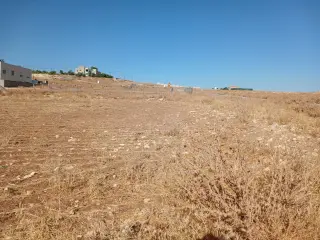 Land for sale in Husban – photo 12