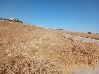 Land for sale in Husban – photo 3