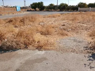 Land for sale in Husban – photo 14