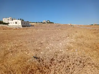 Land for sale in Husban – photo 9