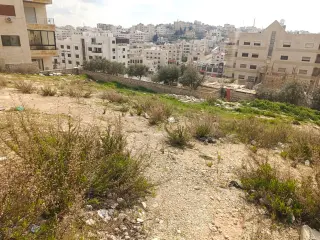 Land for sale in Al Bnayyat – photo 6