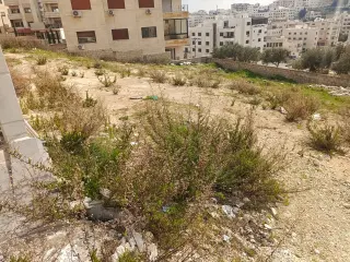 Land for sale in Al Bnayyat – photo 4