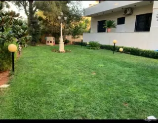 الصورة 4 من 12