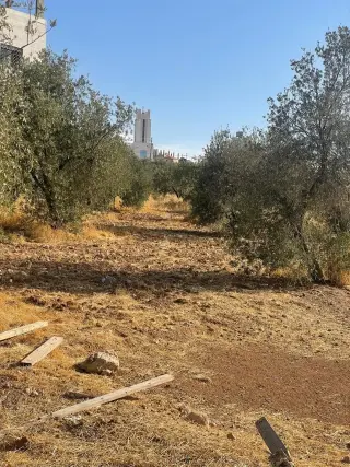 أرض للبيع في ابو نصير – صورة 8