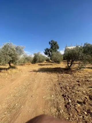 أرض للبيع في ابو نصير – صورة 3
