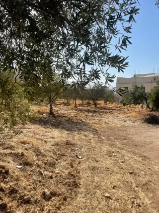 أرض للبيع في ابو نصير – صورة 4